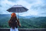 Guía para Viajeros: 10 Lugares Escénicos de la India para Visitar Durante el Monzón