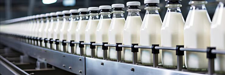 Procesamiento y Embotellado de Leche: Explicación, Conocimientos y Etapas Esenciales
