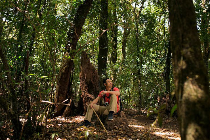 Guía de Seguridad para Viajes y Exploraciones en la Jungla
