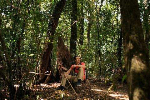 Guía de Seguridad para Viajes y Exploraciones en la Jungla