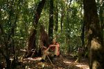 Guía de Seguridad para Viajes y Exploraciones en la Jungla
