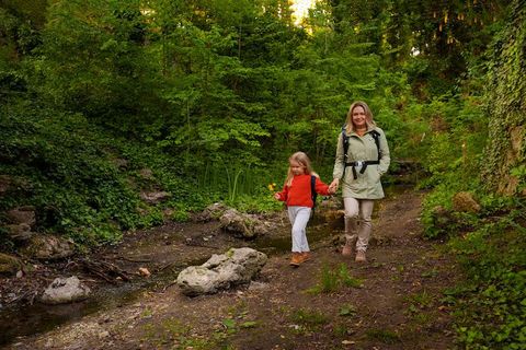 Guía Informativa sobre Rutas de Senderismo para Familias con Niños