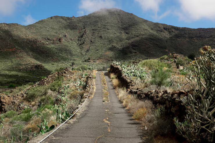 Rutas de Senderismo del Camino Inca: Guía Informativa para Explorar esta Ruta Histórica