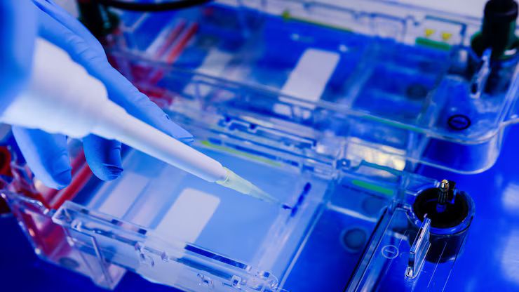 Explorar Tecnologías de Curado Ultravioleta: Información, Conceptos Básicos y Recursos Clave