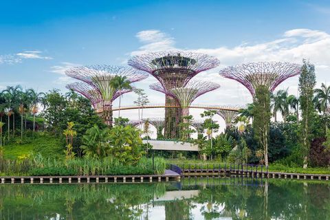 Atracciones Naturales en Singapur: Información Esencial y Recomendaciones Prácticas