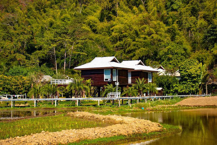 Explorar Villas en Entornos de Vida Silvestre: Información, Consejos y Experiencias de Viaje