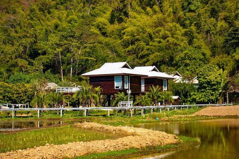 Explorar Villas en Entornos de Vida Silvestre: Información, Consejos y Experiencias de Viaje