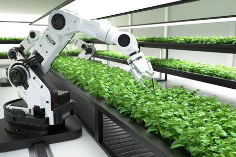 Automatización de Plantas Industriales: Explicación, Conocimientos y Tecnologías Esenciales