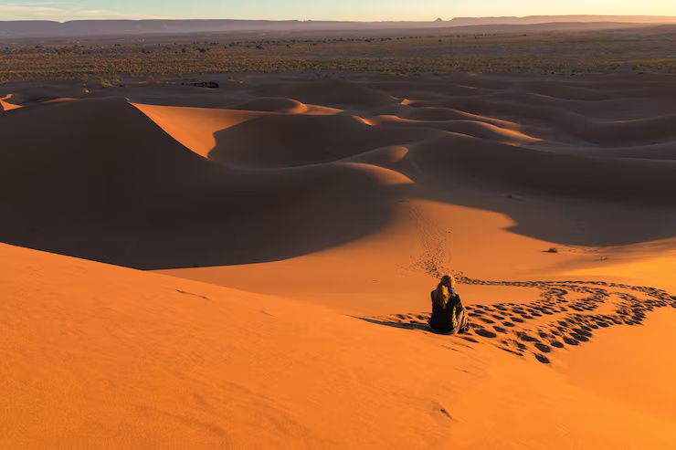 Viajes al Desierto del Namib: Información Esencial y Recomendaciones Prácticas