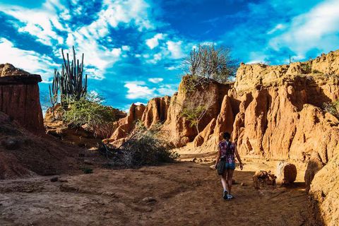 Outback Australiano: Fundamentos, Información y Valor Cultural