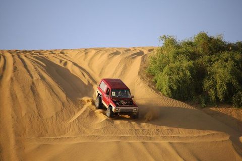 Descubrir Safaris de Off-Roading: Guía, Perspectivas y Recursos de Turismo de Aventura