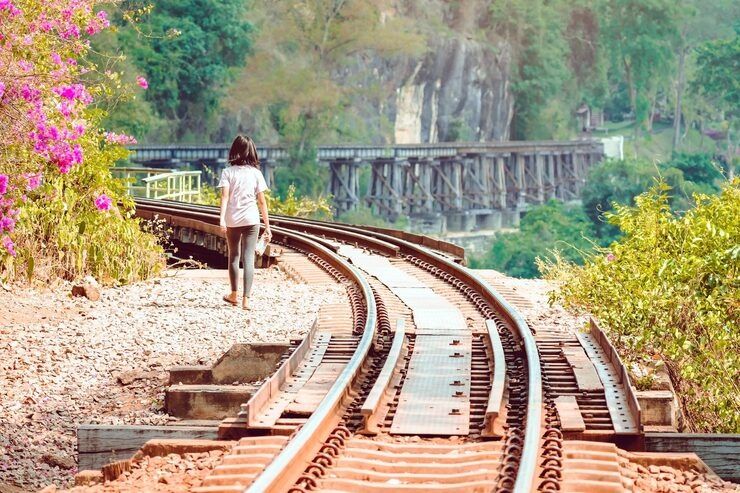 Trenes Históricos Explicados: Información General, Experiencia y Valor Cultural