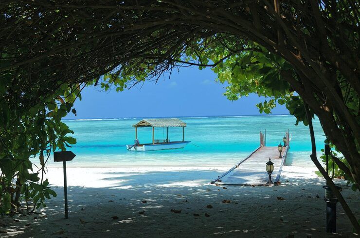 Viajar a Zanzíbar: Explicación, Conocimientos y Detalles para una Escapada Perfecta