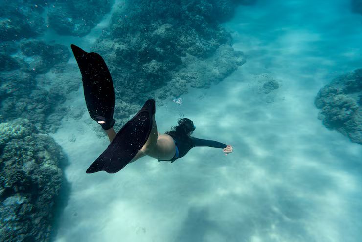 Tours de Buceo en Mar Profundo: Guía Informativa para Explorar el Mundo Submarino