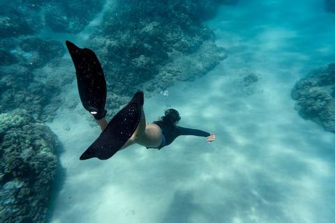 Tours de Buceo en Mar Profundo: Guía Informativa para Explorar el Mundo Submarino