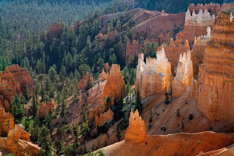 Senderos Históricos de América del Norte: Guía Informativa para Explorar Rutas Emblemáticas