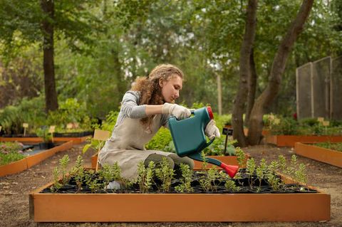 La guía completa para la renovación de jardines