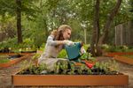 La guía completa para la renovación de jardines