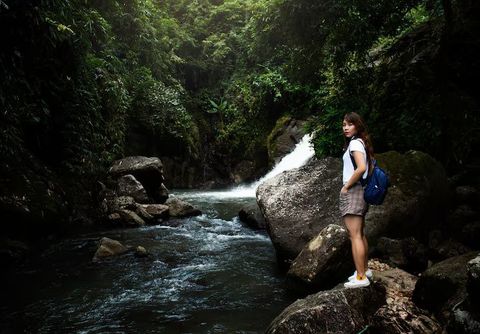 Descubrir Expediciones en el Amazonas: Guía, Perspectivas y Recursos de Ecoturismo