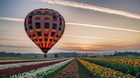 Descubrir Paseos en Globo Aerostático: Guía, Perspectivas y Recursos Turísticos