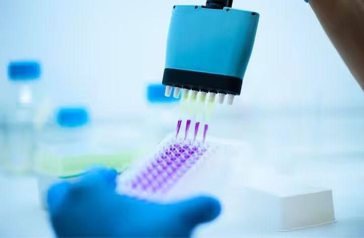 Análisis en profundidad de la tecnología ELISA: Investigación, análisis e innovaciones